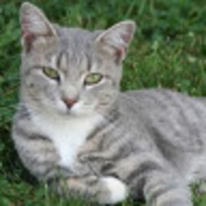 Meet your Posher, Ivanna